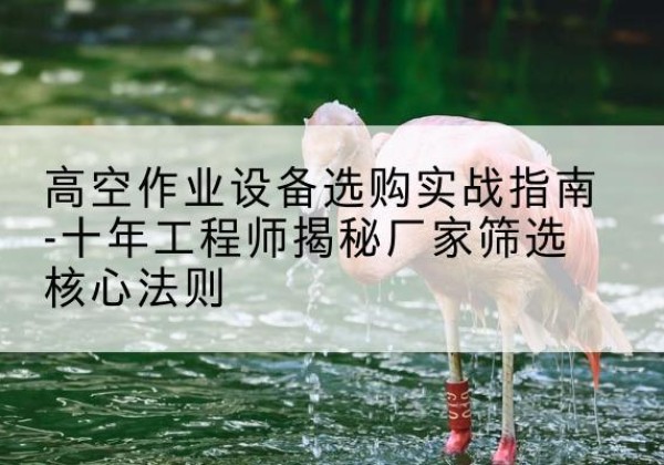新城剪叉式升降机厂家-高空作业设备选购实战指南-十年工程师揭秘厂家筛选核心法则